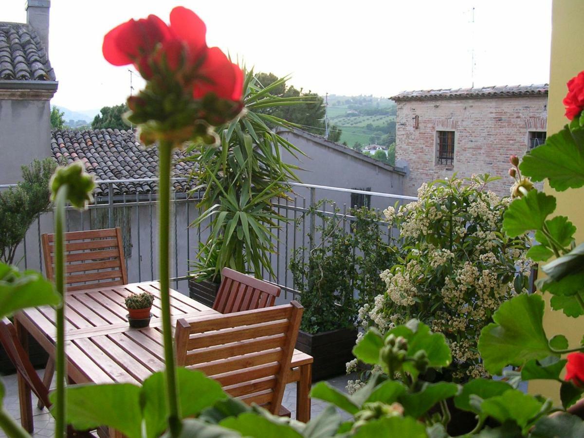 Cappone B&B Morciano di Romagna Dış mekan fotoğraf